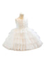 jolie robe de princesse pour mariage Robe de princesse à fleurs dégradées robes tutu pour filles