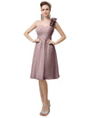 vintage-mauve|viola