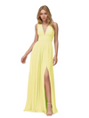 daffodil