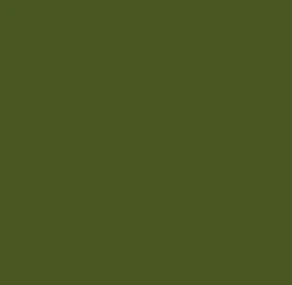 Olive-green image