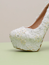 Elegant Women's Wedding Shoes Decorative Lace Wedding Heels Bridal Shoes With Beading, H97